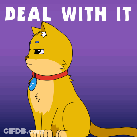 A Picture Of A Cat With The Words Deal With It Written Above It GIF