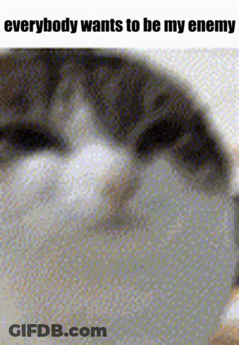 A Picture Of A Cat With The Words Everybody Wants To Be My Enemy GIF