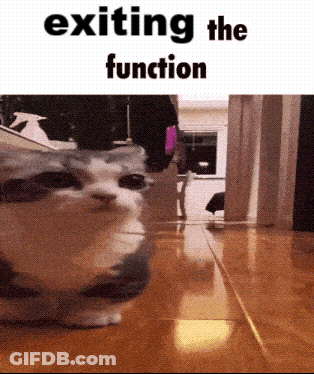 A Picture Of A Cat With The Words Exiting The Function On The Bottom GIF