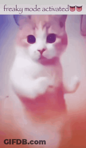 A Picture Of A Cat With The Words Freaky Mode Activated Above It GIF