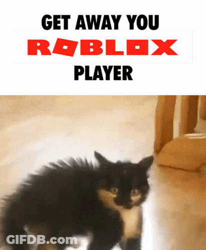 A Picture Of A Cat With The Words " Get Away You Roblox Player " GIF
