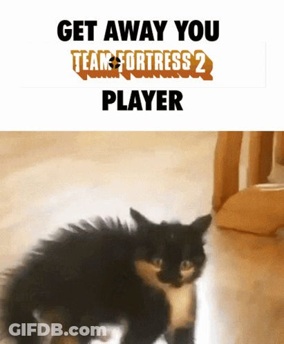 A Picture Of A Cat With The Words Get Away You Team Fortress 2 Player Below It GIF