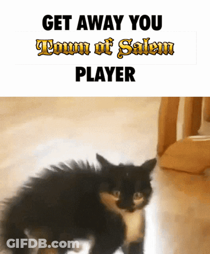 A Picture Of A Cat With The Words " Get Away You Town Of Salem Player " GIF
