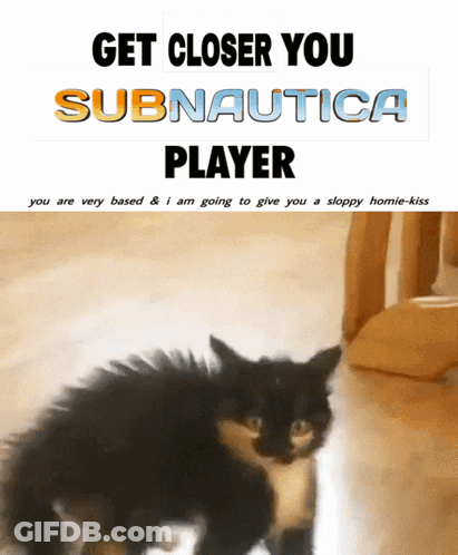 A Picture Of A Cat With The Words " Get Closer You Subnautica Player " GIF