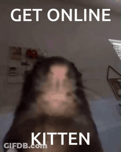 A Picture Of A Cat With The Words Get Online Kitten On It GIF