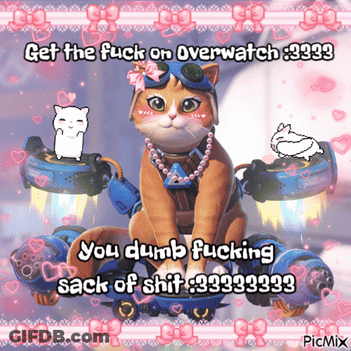 A Picture Of A Cat With The Words Get The Fuck On Overwatch 9999 GIF
