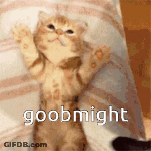 A Picture Of A Cat With The Words Goobnight On The Bottom GIF