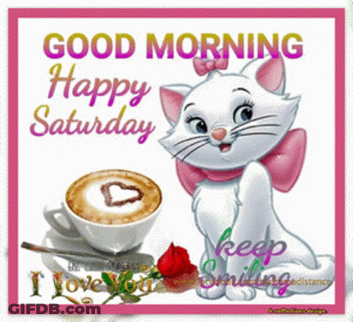 A Picture Of A Cat With The Words Good Morning Happy Saturday GIF