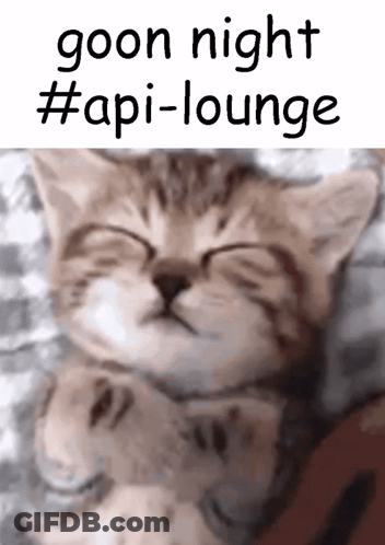 A Picture Of A Cat With The Words Goon Night #Api-Lounge GIF