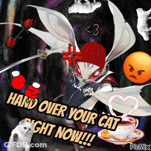 A Picture Of A Cat With The Words Hand Over Your Cat Right Now On It GIF