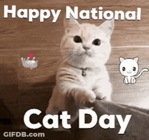 A Picture Of A Cat With The Words Happy National Cat Day On It GIF