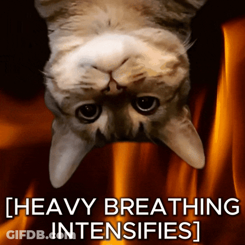 A Picture Of A Cat With The Words Heavy Breathing Intensifies Written Below It GIF