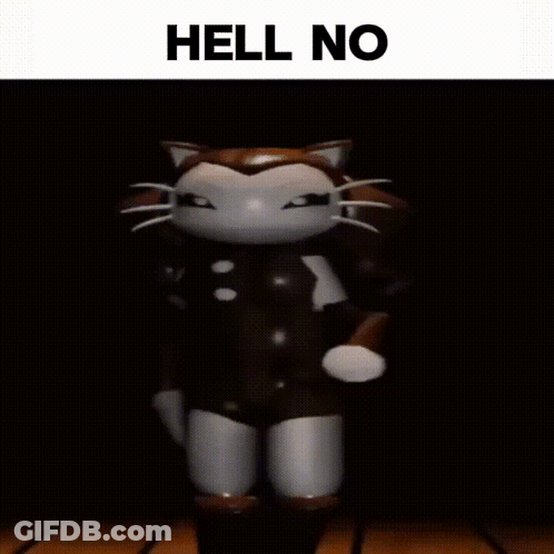 A Picture Of A Cat With The Words Hell No Written On It GIF