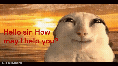 A Picture Of A Cat With The Words " Hello Sir How May I Help You " GIF