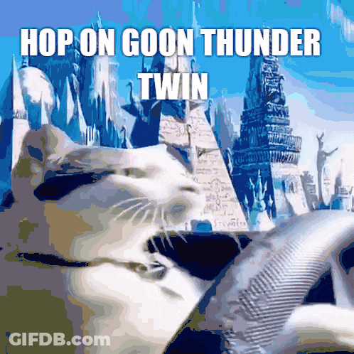 A Picture Of A Cat With The Words Hop On Goon Thunder Twin Below It GIF
