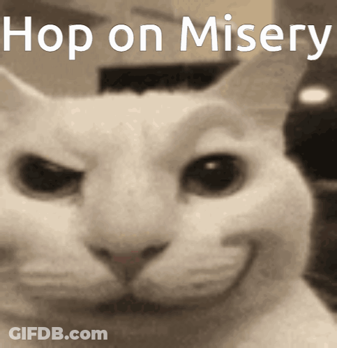 A Picture Of A Cat With The Words Hop On Misery Written Above It GIF