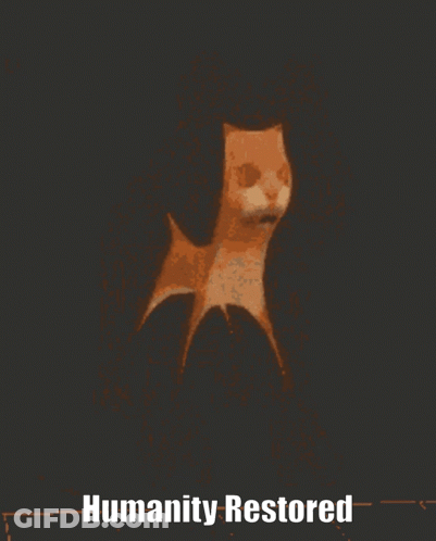 A Picture Of A Cat With The Words Humanity Restored Underneath It GIF