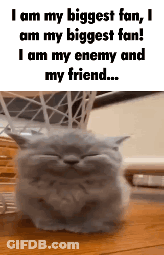 A Picture Of A Cat With The Words I Am My Biggest Fan I Am My Biggest Fan GIF