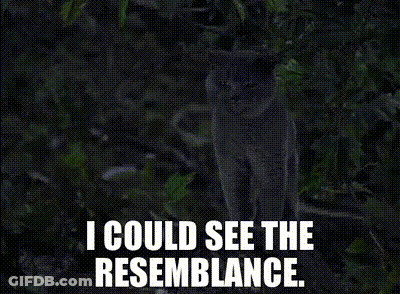 A Picture Of A Cat With The Words I Could See The Resemblance GIF