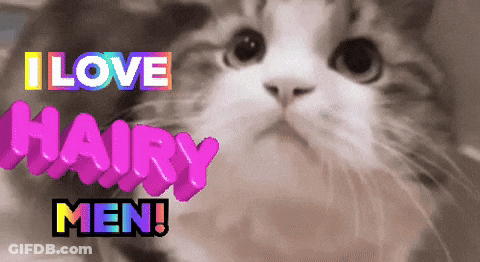 A Picture Of A Cat With The Words I Love Hairy Men Above It GIF