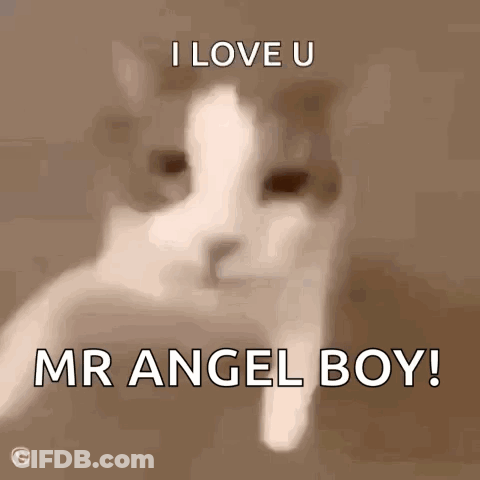 A Picture Of A Cat With The Words I Love U Mr Angel Boy GIF