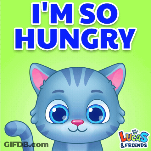 A Picture Of A Cat With The Words I 'M So Hungry GIF