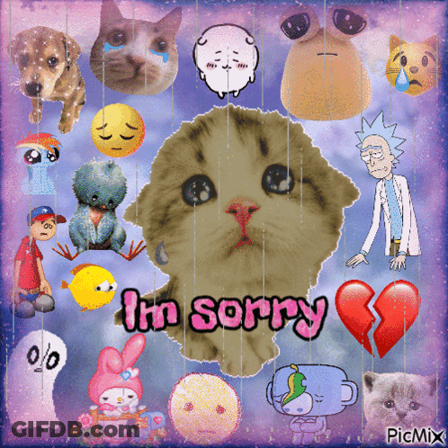 A Picture Of A Cat With The Words I 'M Sorry Written On It GIF