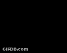 A Picture Of A Cat With The Words " Is This Ragebait " Below It GIF