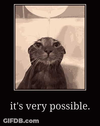 A Picture Of A Cat With The Words " It 'S Very Possible " Underneath It GIF