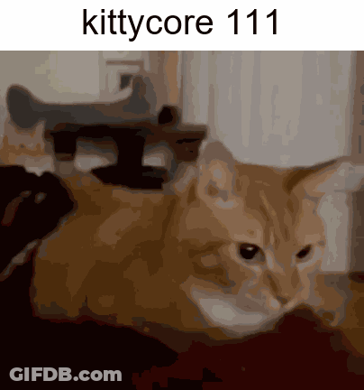 A Picture Of A Cat With The Words Kittycore 111 On The Bottom GIF