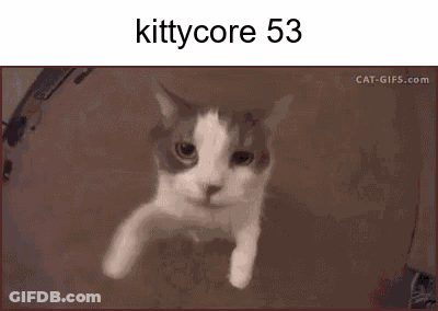 A Picture Of A Cat With The Words Kittycore 53 On Top Of It . GIF