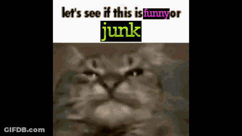 A Picture Of A Cat With The Words " Let 'S See If This Is Funny Or Junk " GIF