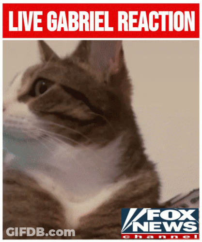 A Picture Of A Cat With The Words Live Gabriel Reaction Above It GIF