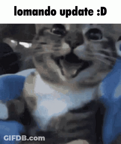 A Picture Of A Cat With The Words Lomando Update : D Above It GIF