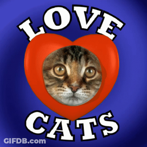 A Picture Of A Cat With The Words Love Cats On It GIF