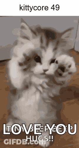 A Picture Of A Cat With The Words Love You Hugs On It GIF