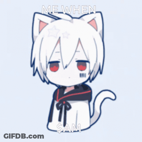 A Picture Of A Cat With The Words Me When Sam Written On It GIF