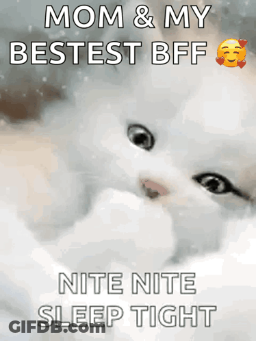 A Picture Of A Cat With The Words Mom & My Bestest Bff Nite Nite Sleep Tight GIF
