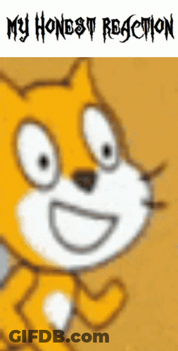 A Picture Of A Cat With The Words " My Honest Reaction " Written Below It GIF