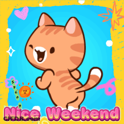 A Picture Of A Cat With The Words Nice Weekend Written Below It GIF