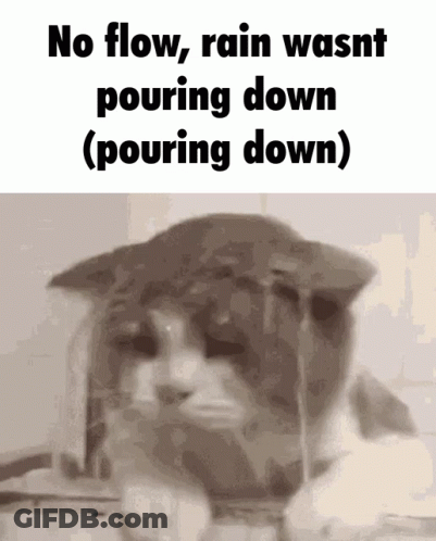 A Picture Of A Cat With The Words No Flow Rain Wasnt Pouring Down ( Pouring Down ) GIF