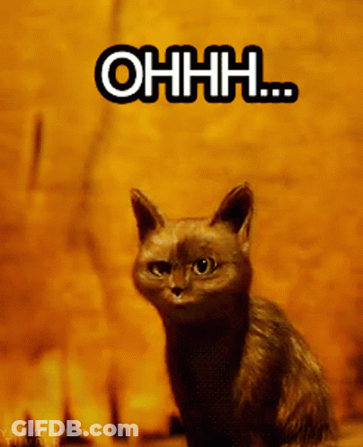 A Picture Of A Cat With The Words Ohhh Written On It GIF