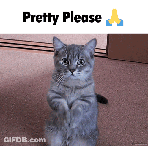 A Picture Of A Cat With The Words " Pretty Please " Above It GIF