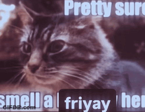 A Picture Of A Cat With The Words Pretty Sure Smell A Fri Yay GIF