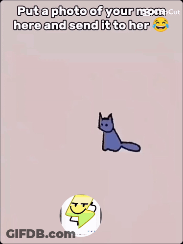 A Picture Of A Cat With The Words Put A Photo Of Your Mom Here And Send It To Her On The Bottom GIF