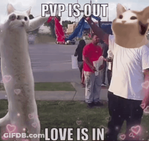 A Picture Of A Cat With The Words Pvp Is Out Love Is In Above It GIF