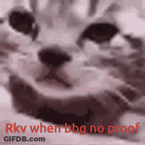 A Picture Of A Cat With The Words Rkv When Bbg No Proof Written Below It GIF