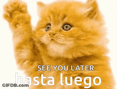 A Picture Of A Cat With The Words See You Later Hasta Luego GIF