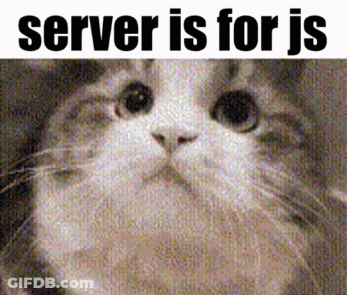 A Picture Of A Cat With The Words Server Is For Js Below It GIF