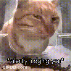 A Picture Of A Cat With The Words Silently Judging You GIF